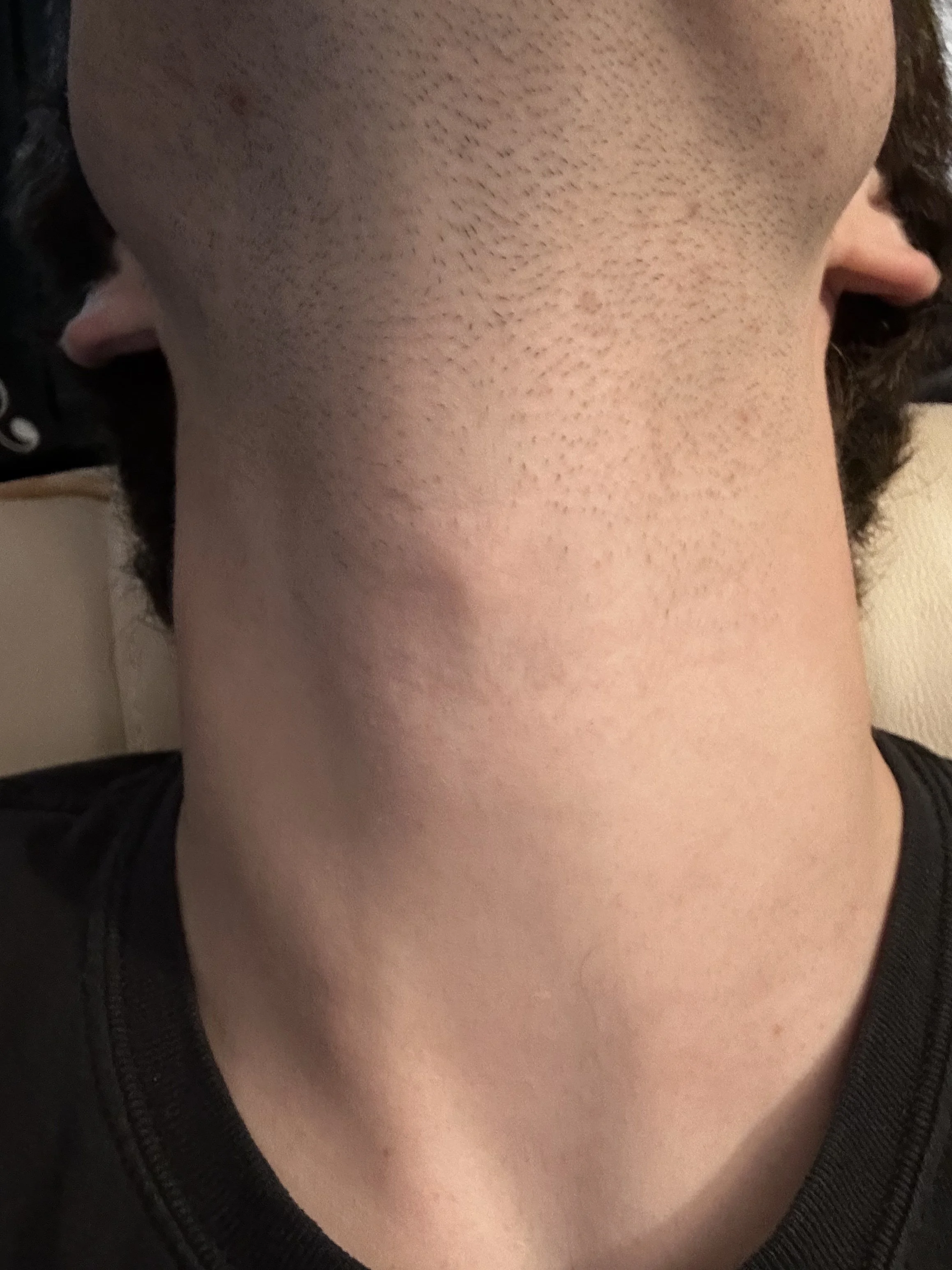 But back to the seagulls…