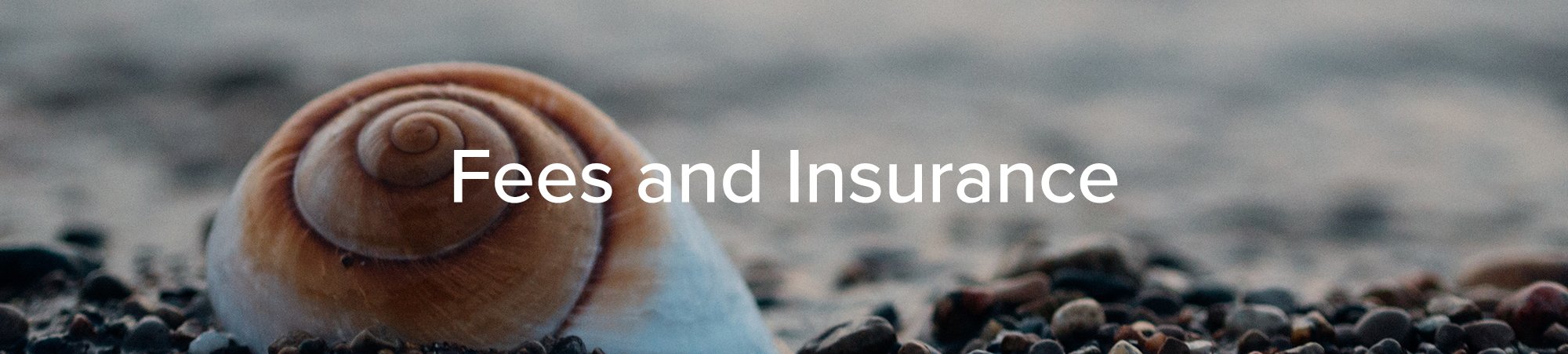 fees-insurance.jpg