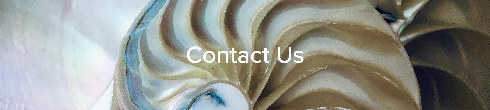 contact-us3.jpg