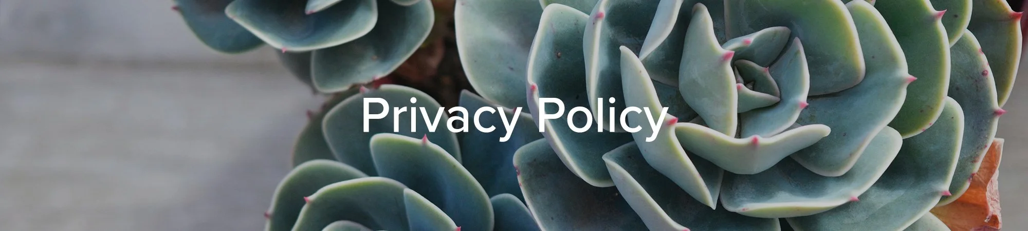 privacy-policy.jpg