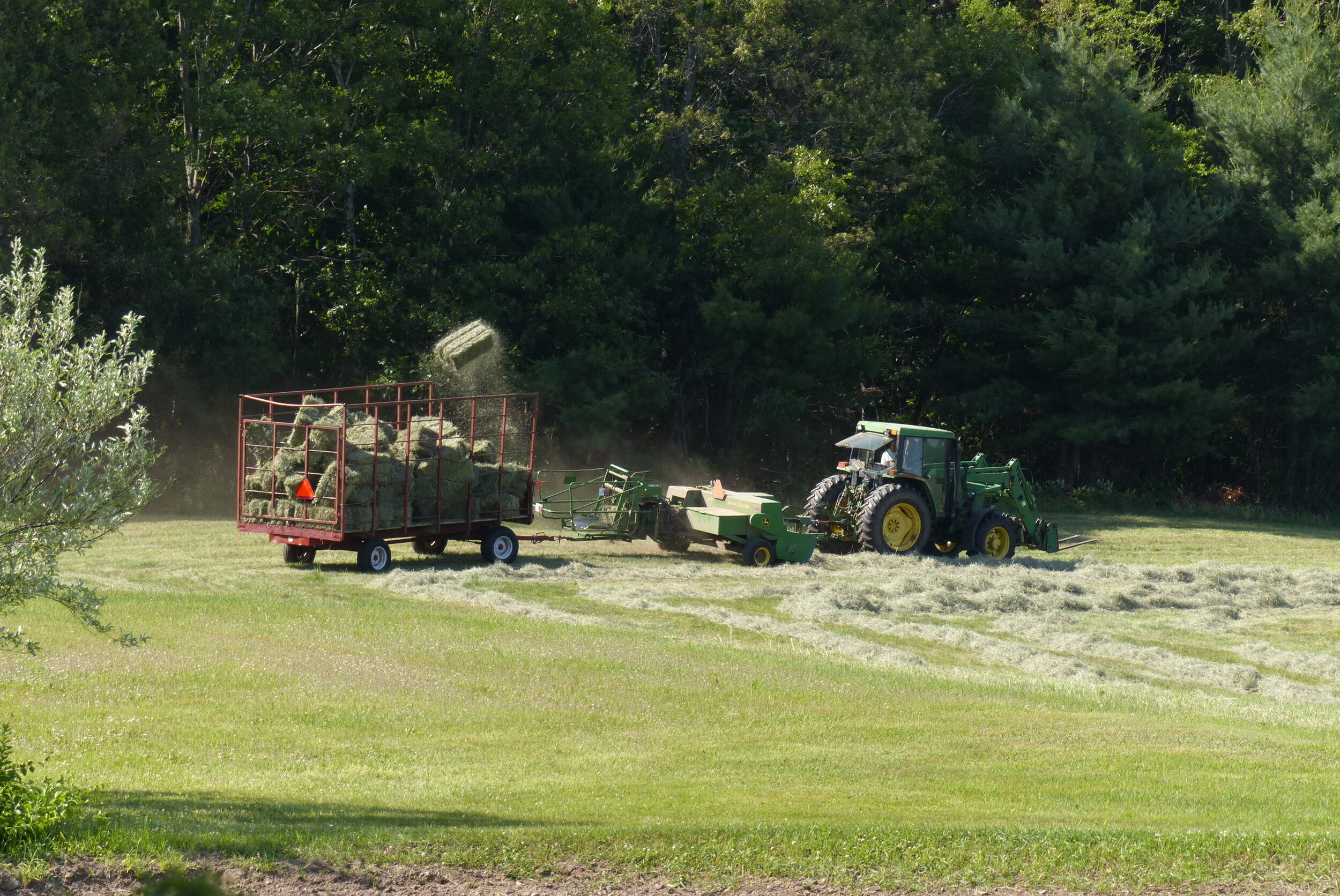 Haying the field.JPG