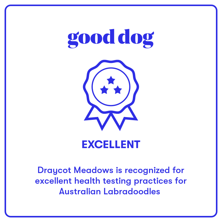 Good Dog Badge.jpg