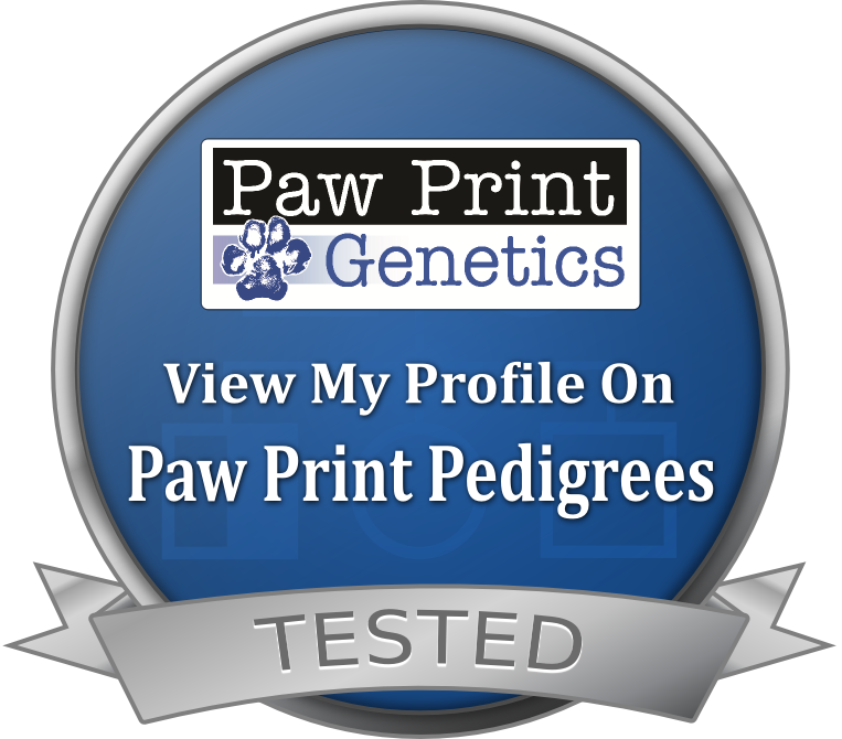 PawPrint Pedigree Link.png