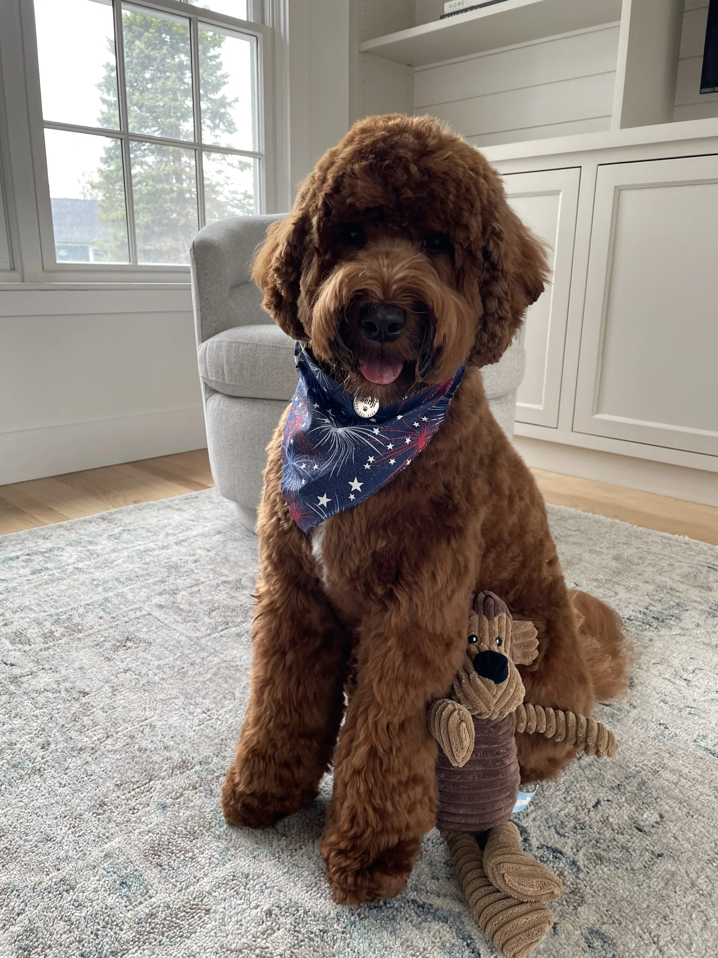 Benji  Black Boy 9.27.2024.jpeg