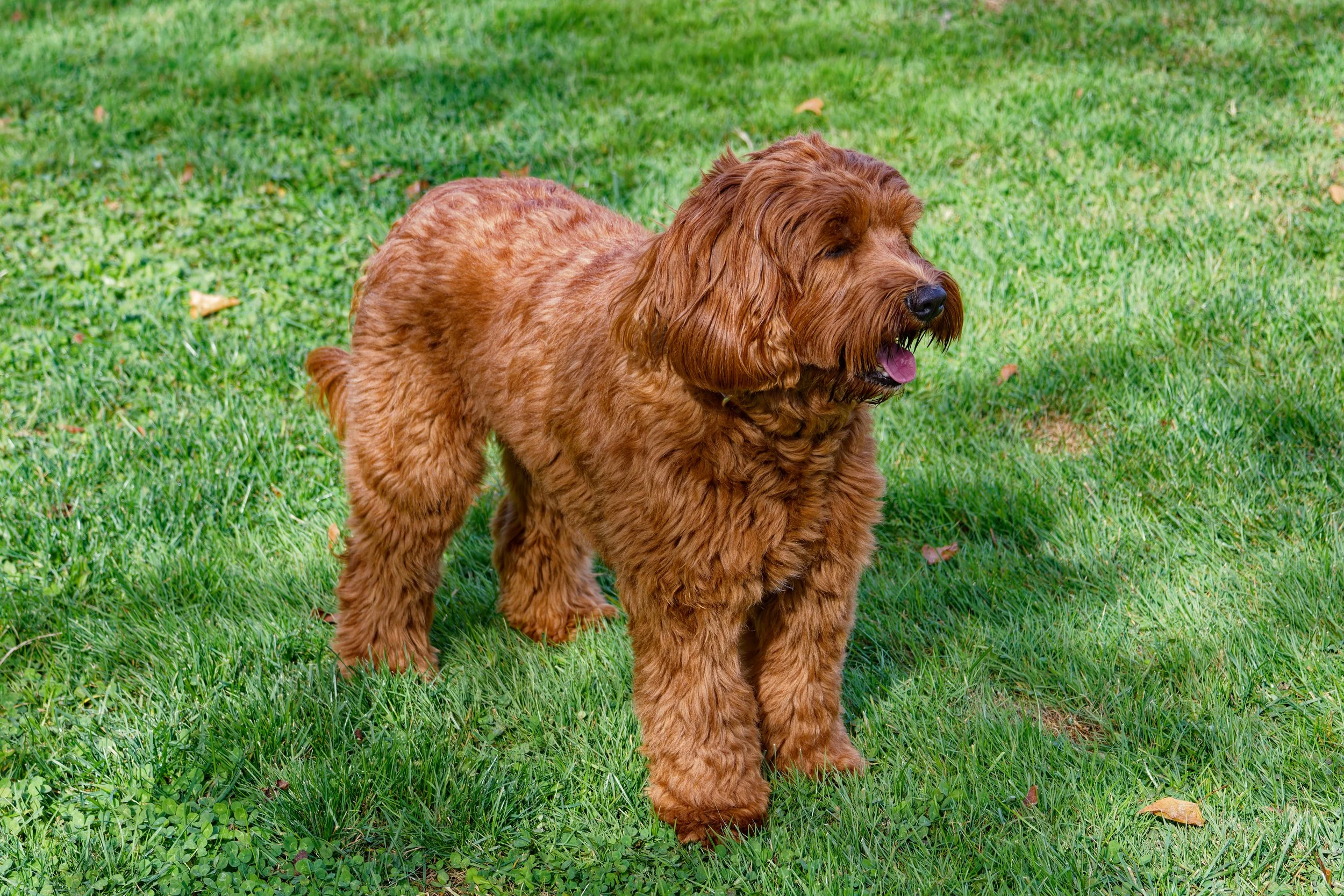 Riley10_10-19-2025.jpg