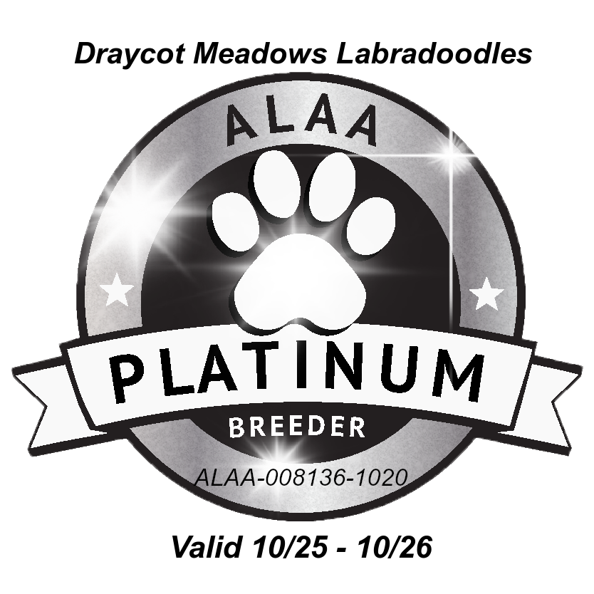 Draycot Meadows platinum 2025.png