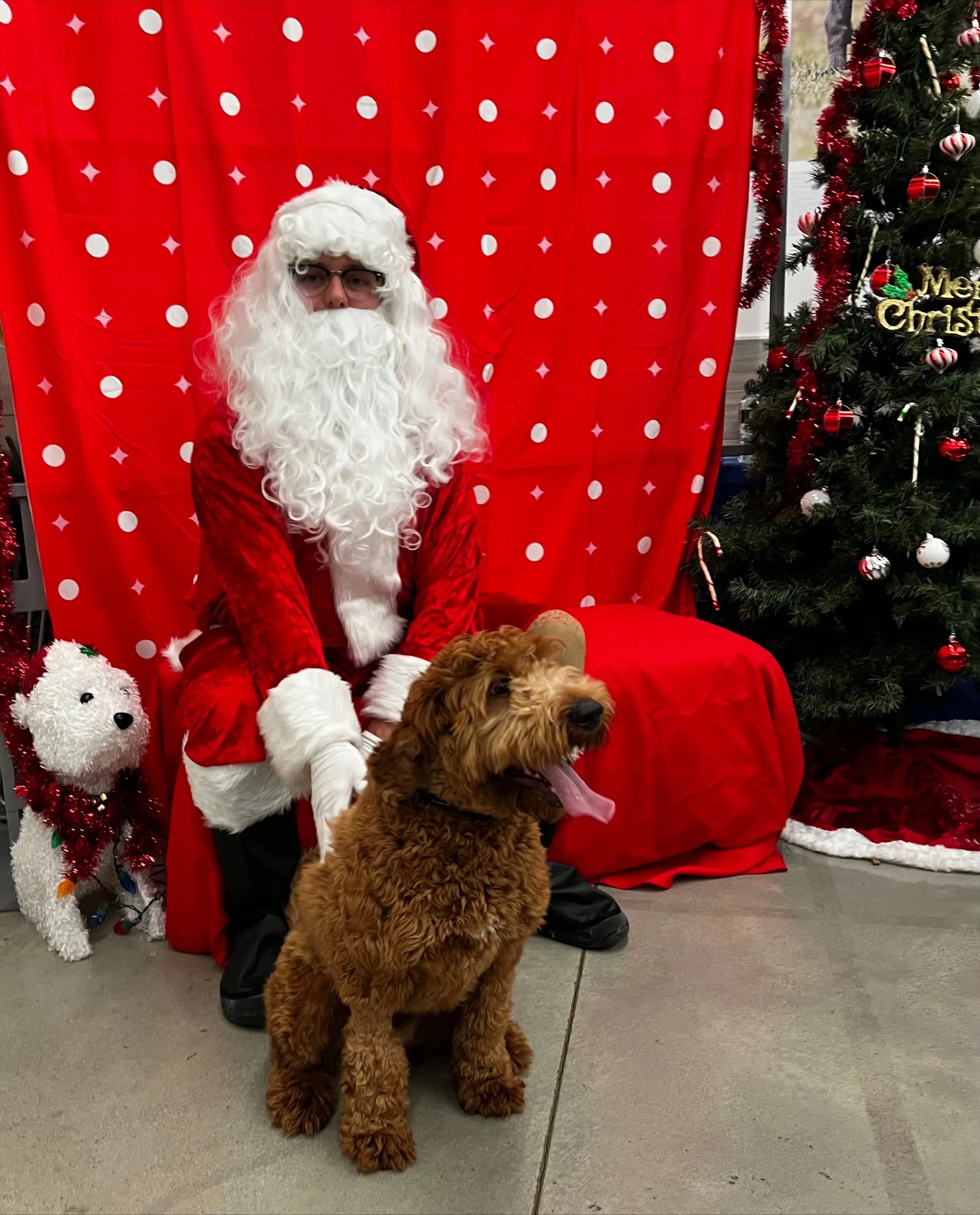 Figgy_Maggie Christmas 2024.jpeg