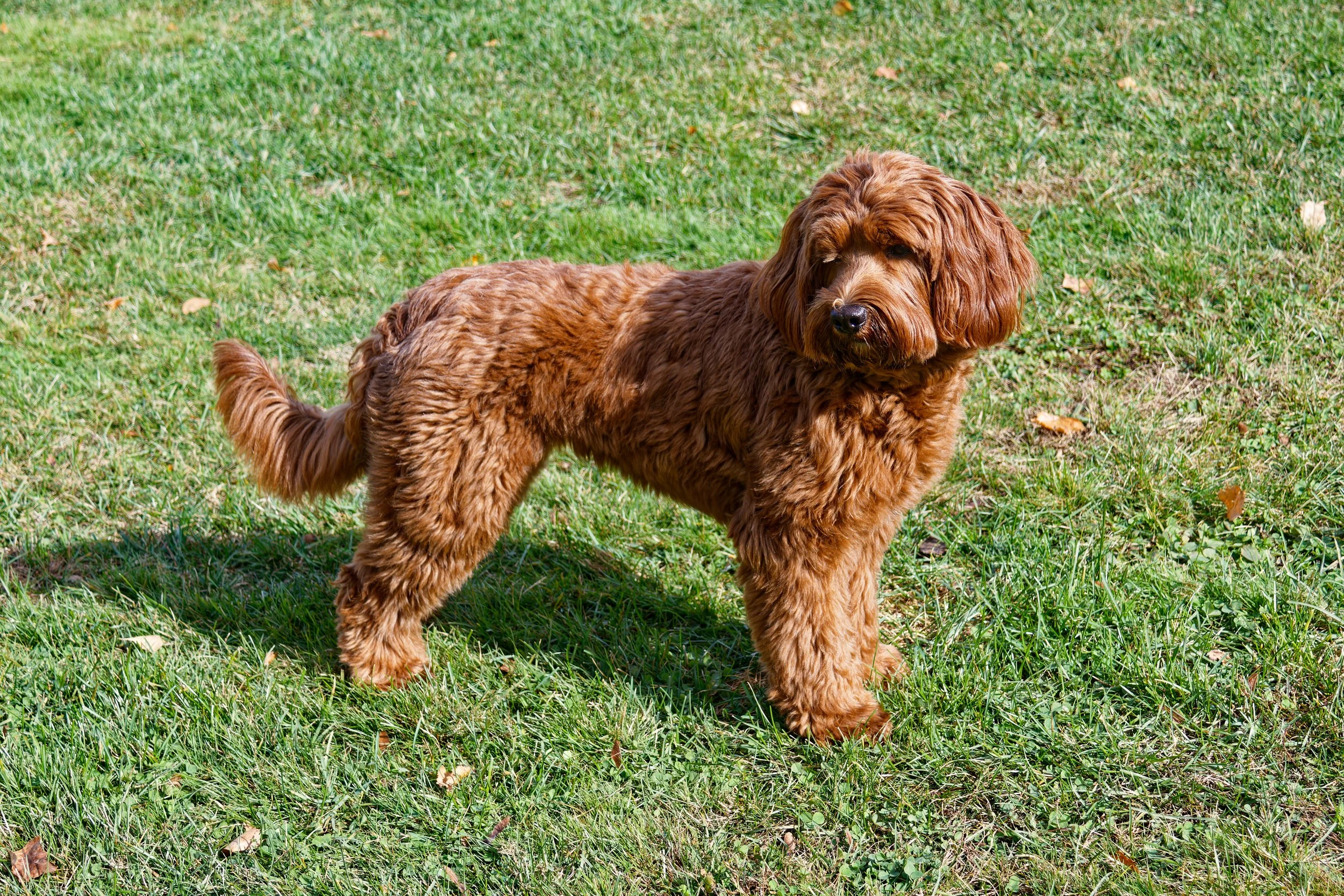 Riley5_10-19-2025.jpg