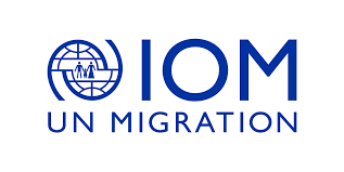 IOM.png