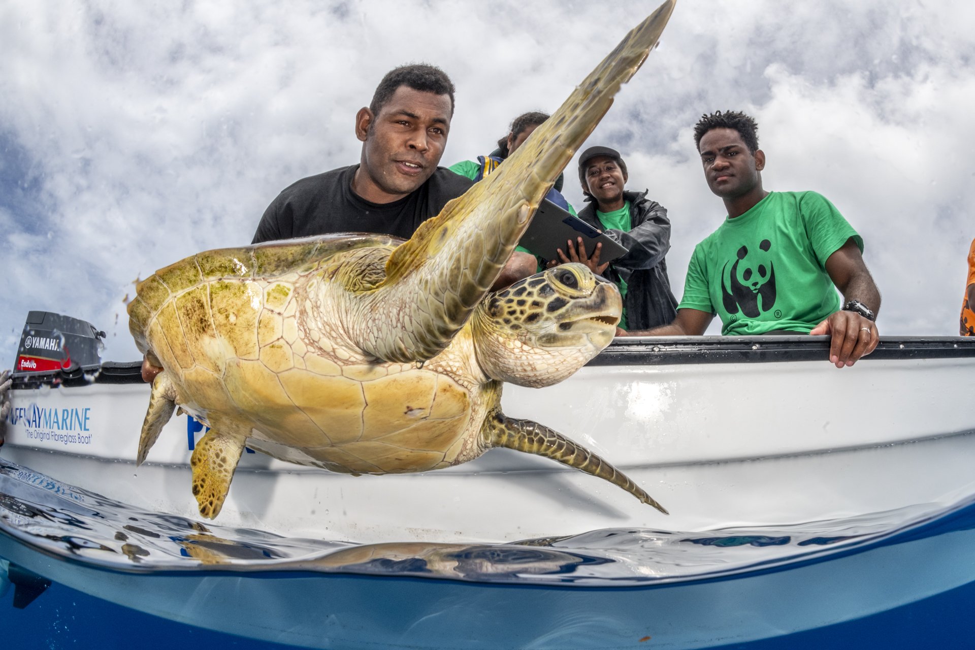 PA_TVierus_Turtle Conservation in Fiji-9.jpg