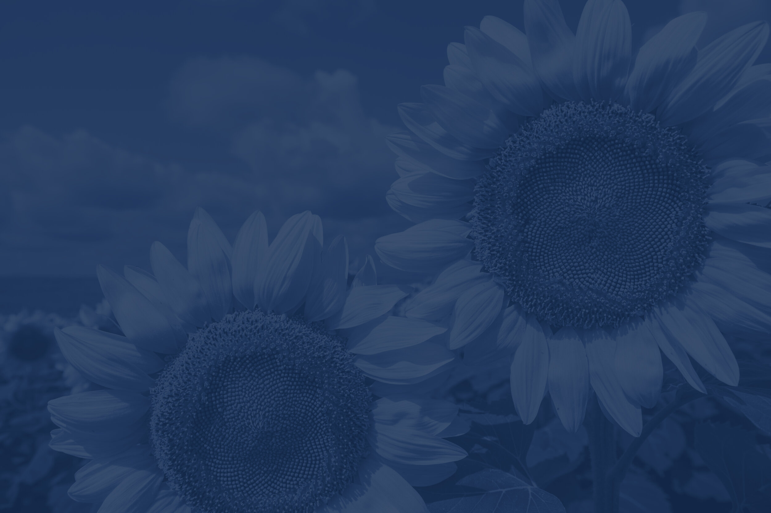 20130813_country_038 colored2.jpg