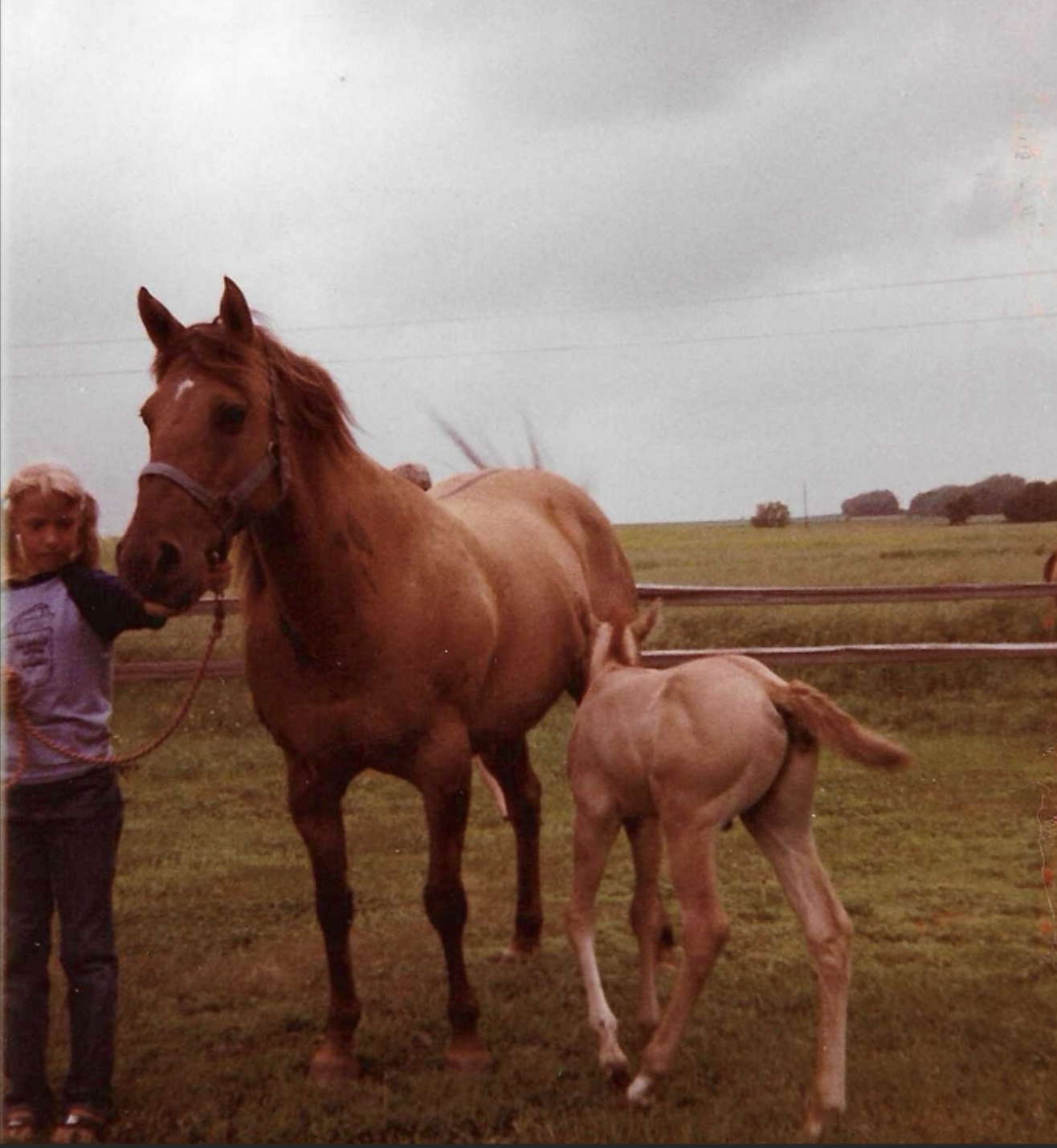 Screenshot 2026-01-15 at 9.07.27 AM.png