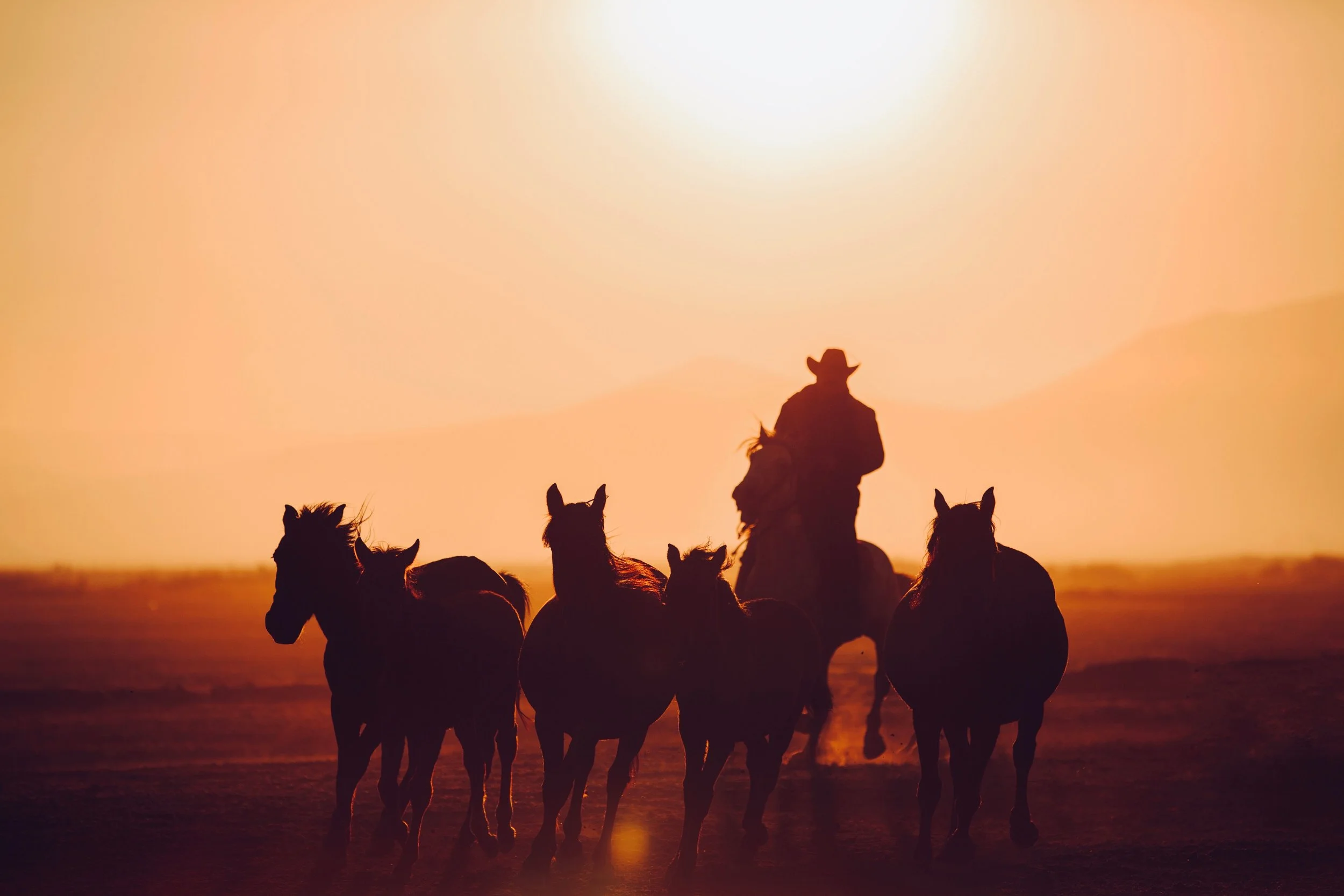 (Coming Soon) Western Heritage Exhibit