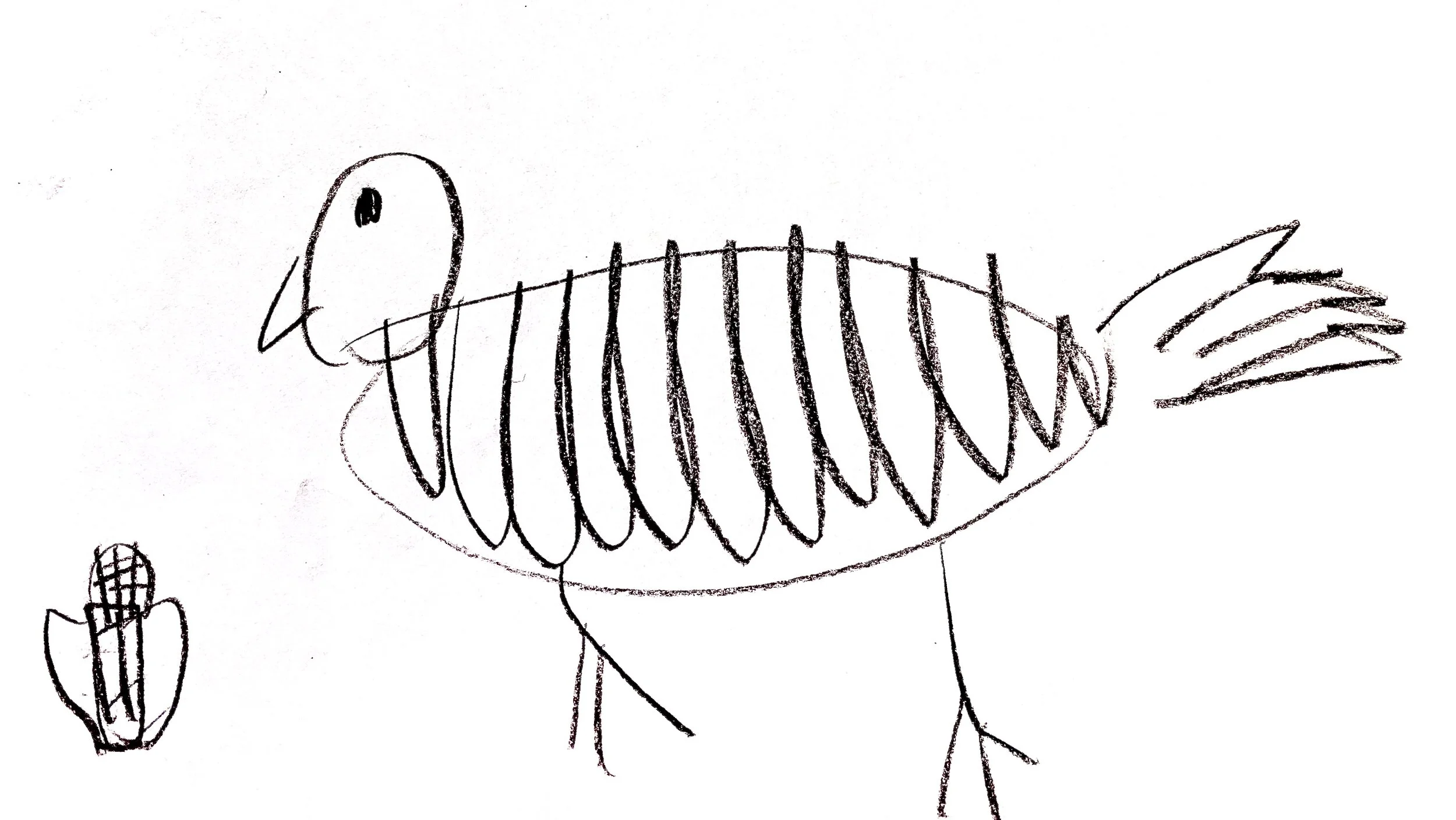 The official Happy Chicken Farms logo. Our chickens love corn!