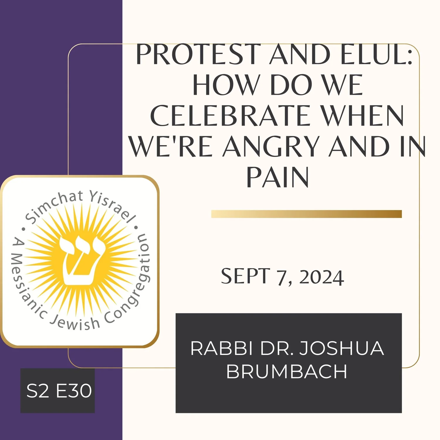 Protest and Elul: How Do We Celebrate When We're Angry and in Pain episode artwork