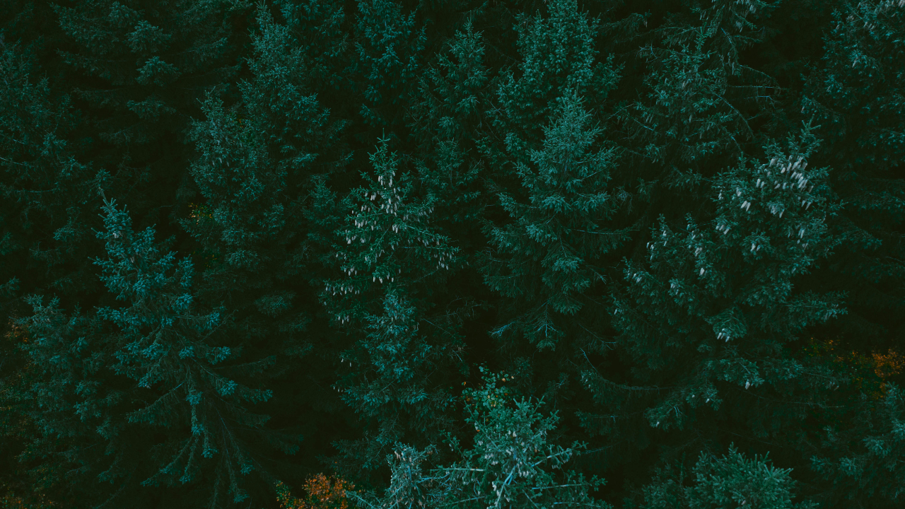 Website Graphics Updates.png