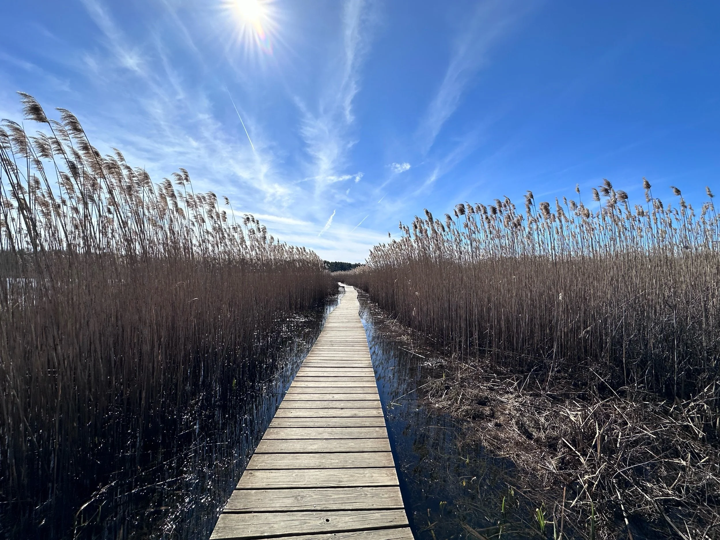 The Boardwalk of Trails - minus the Food