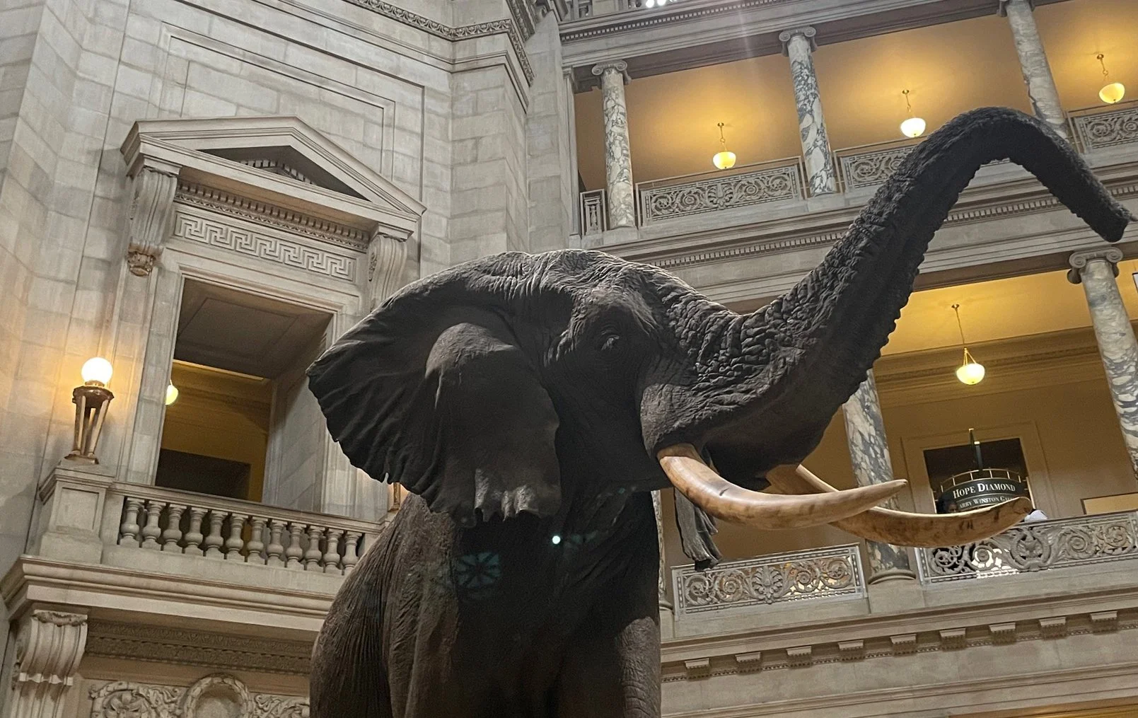 Beyond the Galleries: Systems, Space, and Where I Begin