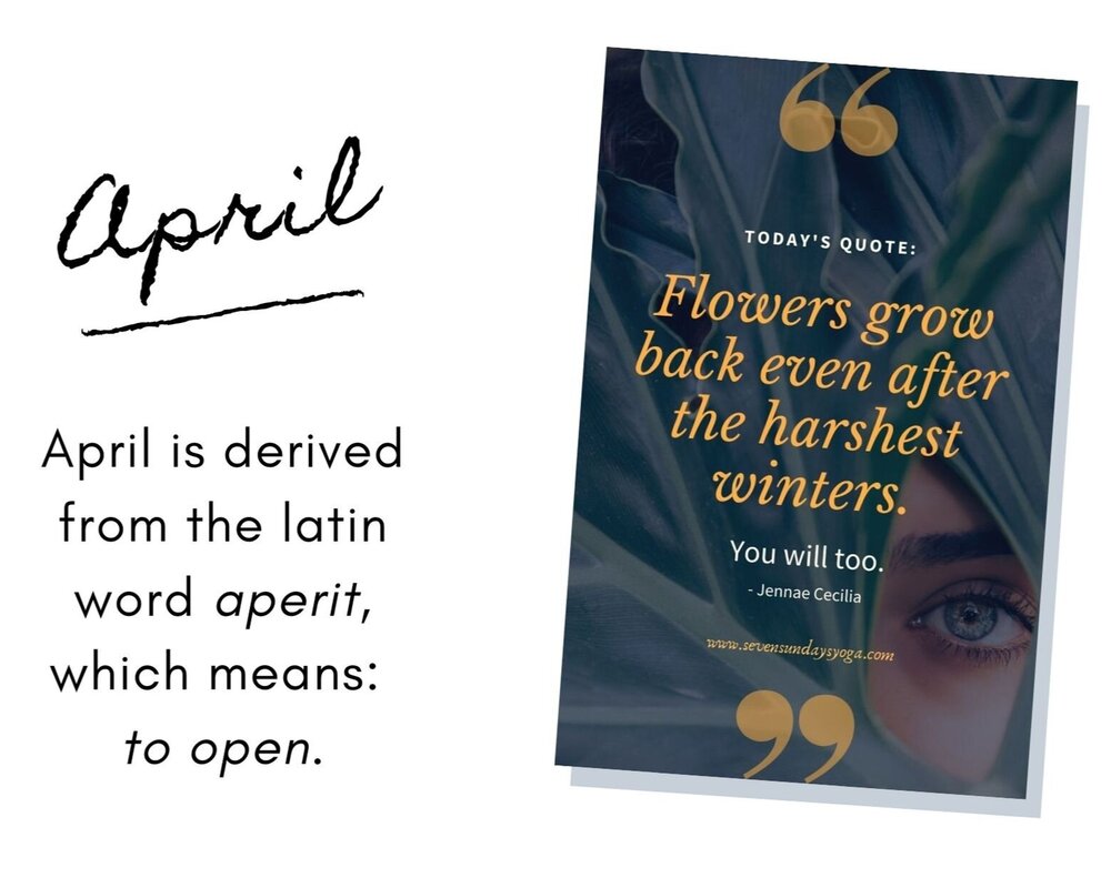 Inspirational Quotes that Move You   April Edition — 12SY