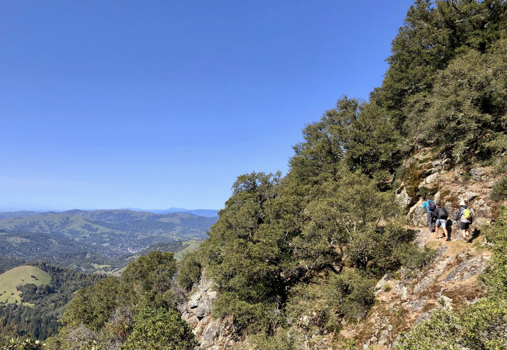 Walking Ourselves Back to Attention (Lion’s Roar)