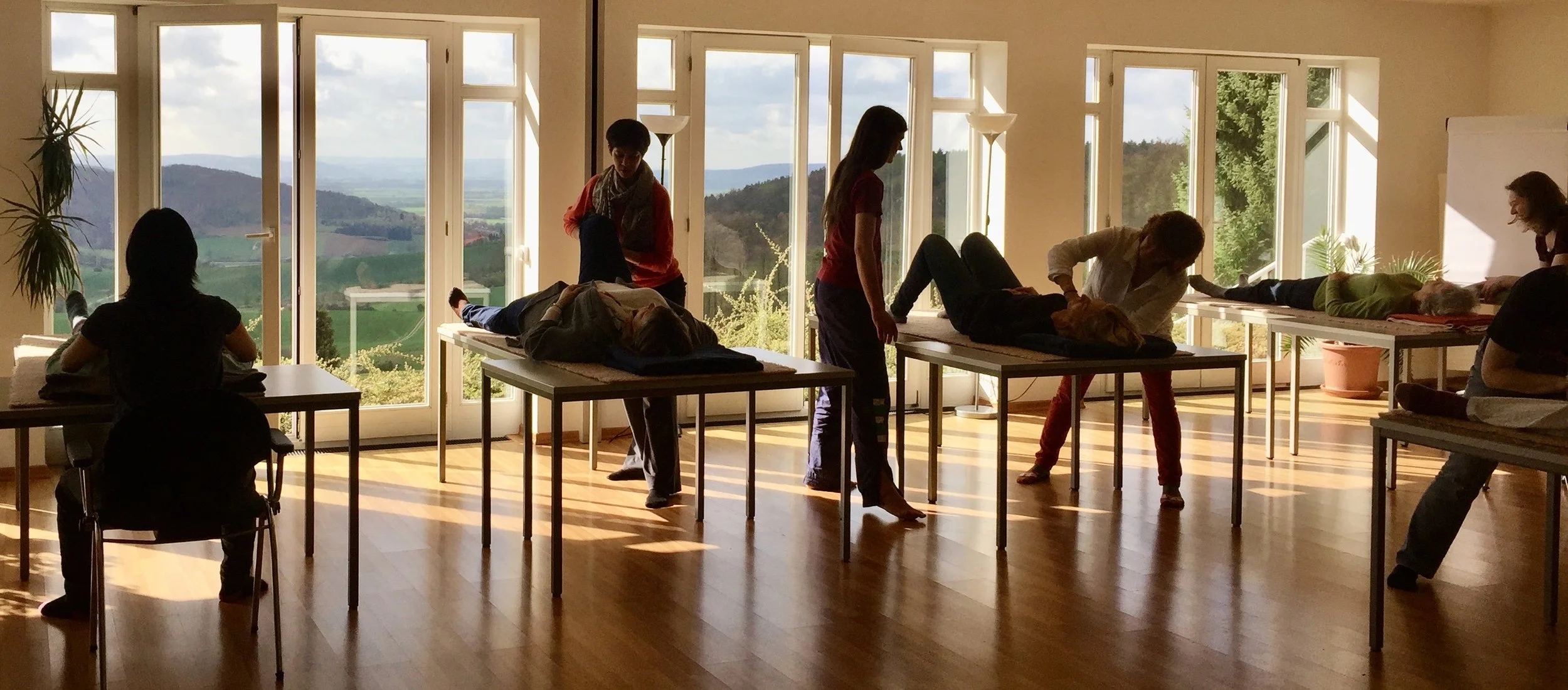 AAE Post Grad Workshop and Training