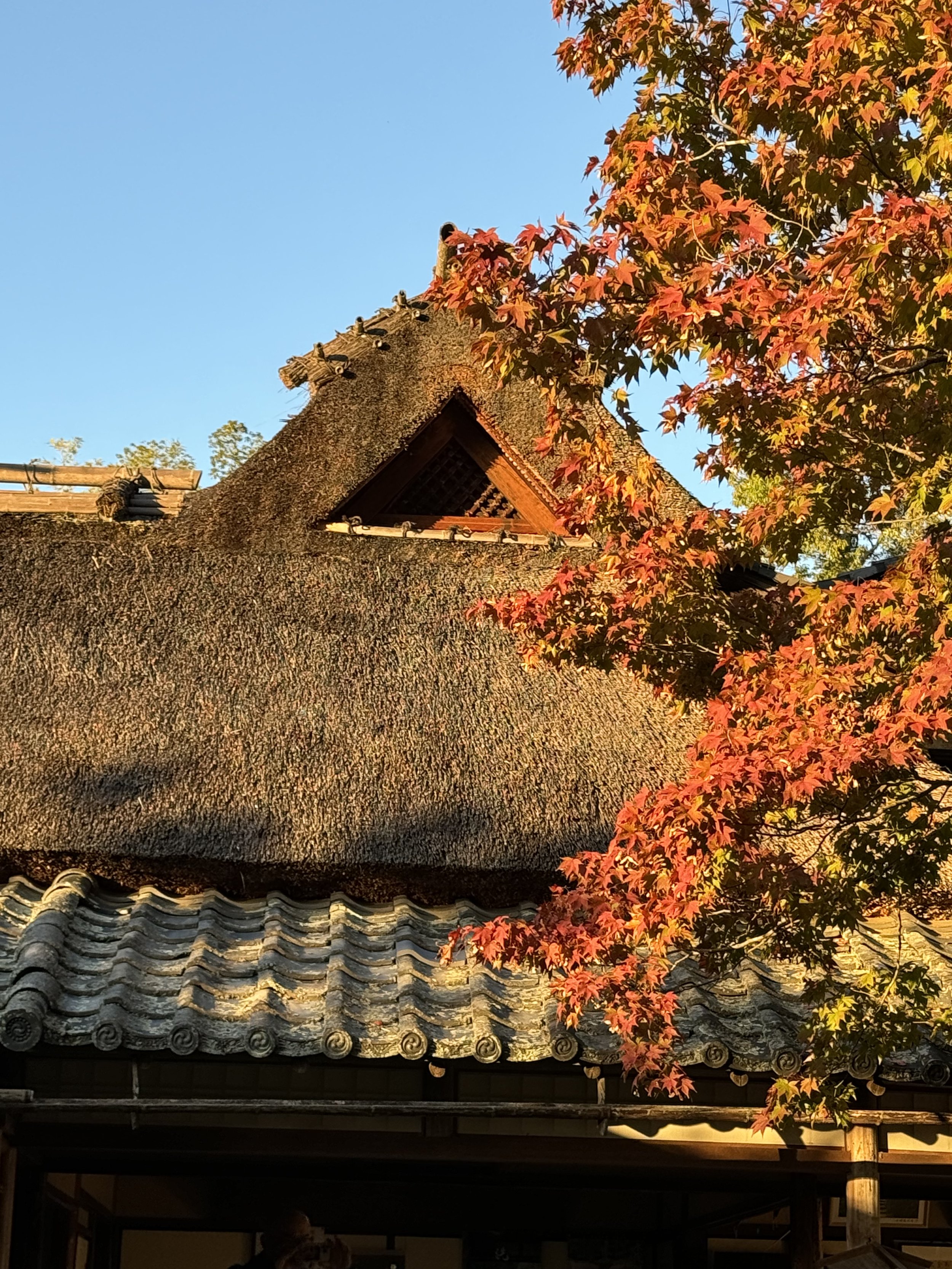 JAPAN Teaching Tour