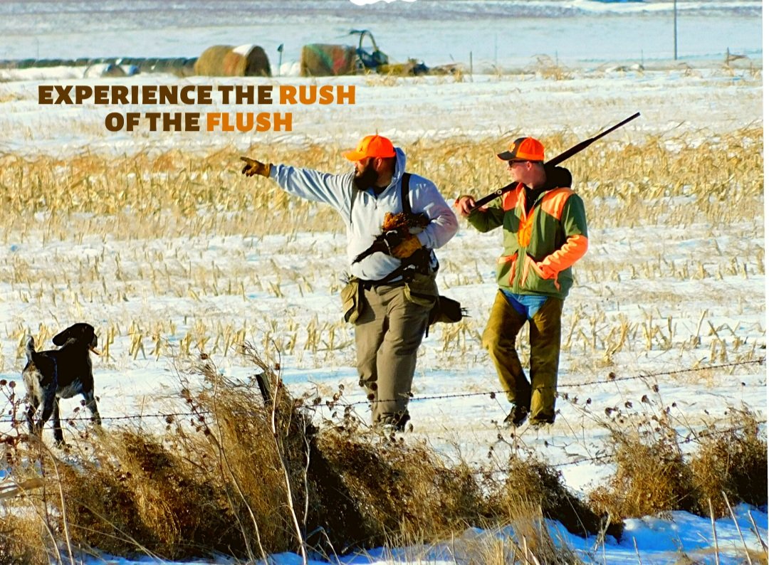 Opening Pheasant Season! — Wessington Springs, South Dakota