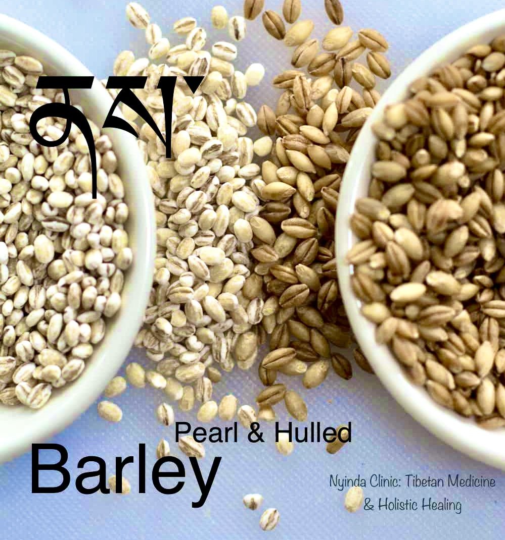 barley .jpg