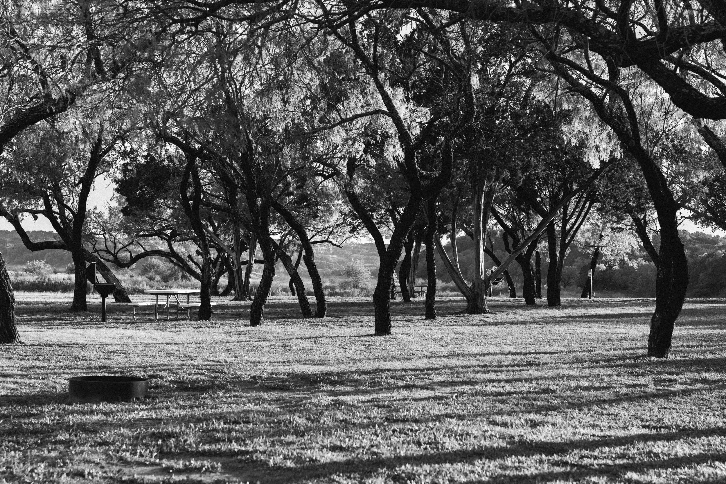R52_5345.jpg