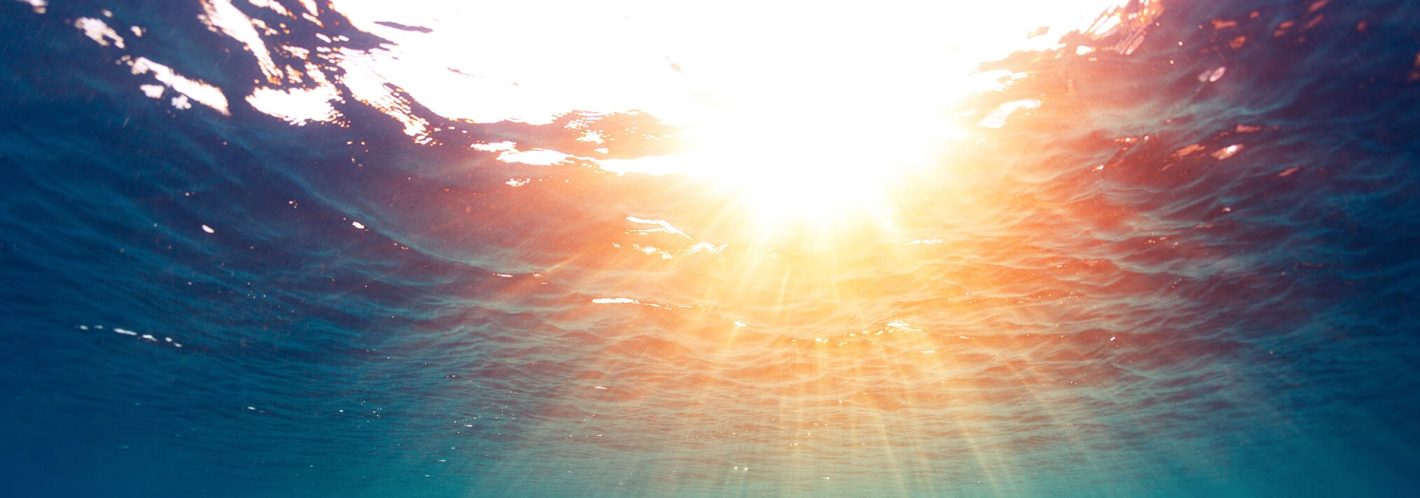 clarity-crop.jpg
