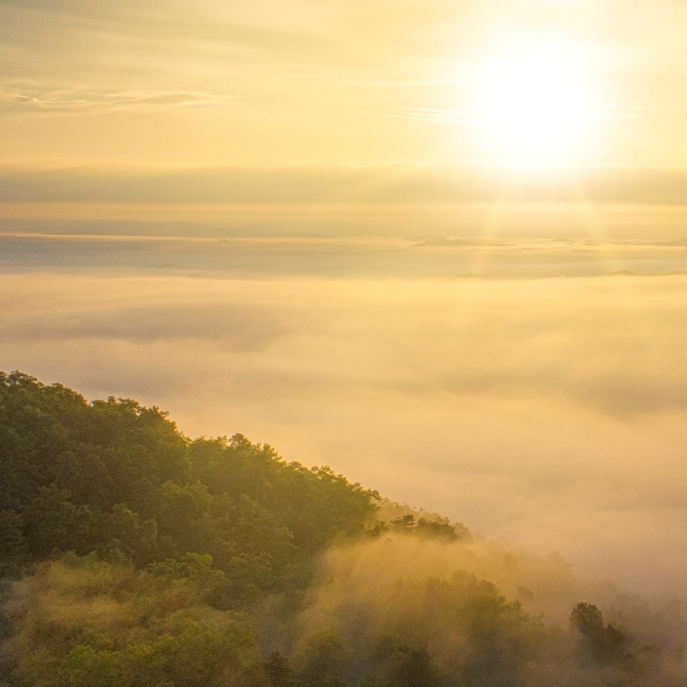 Schedule an appointment to visit our mountain healing sanctuary