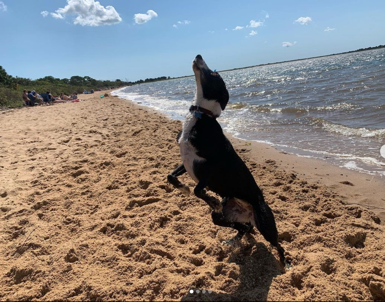 Screen Shot 2021-11-09 at 4.34.34 PM.png