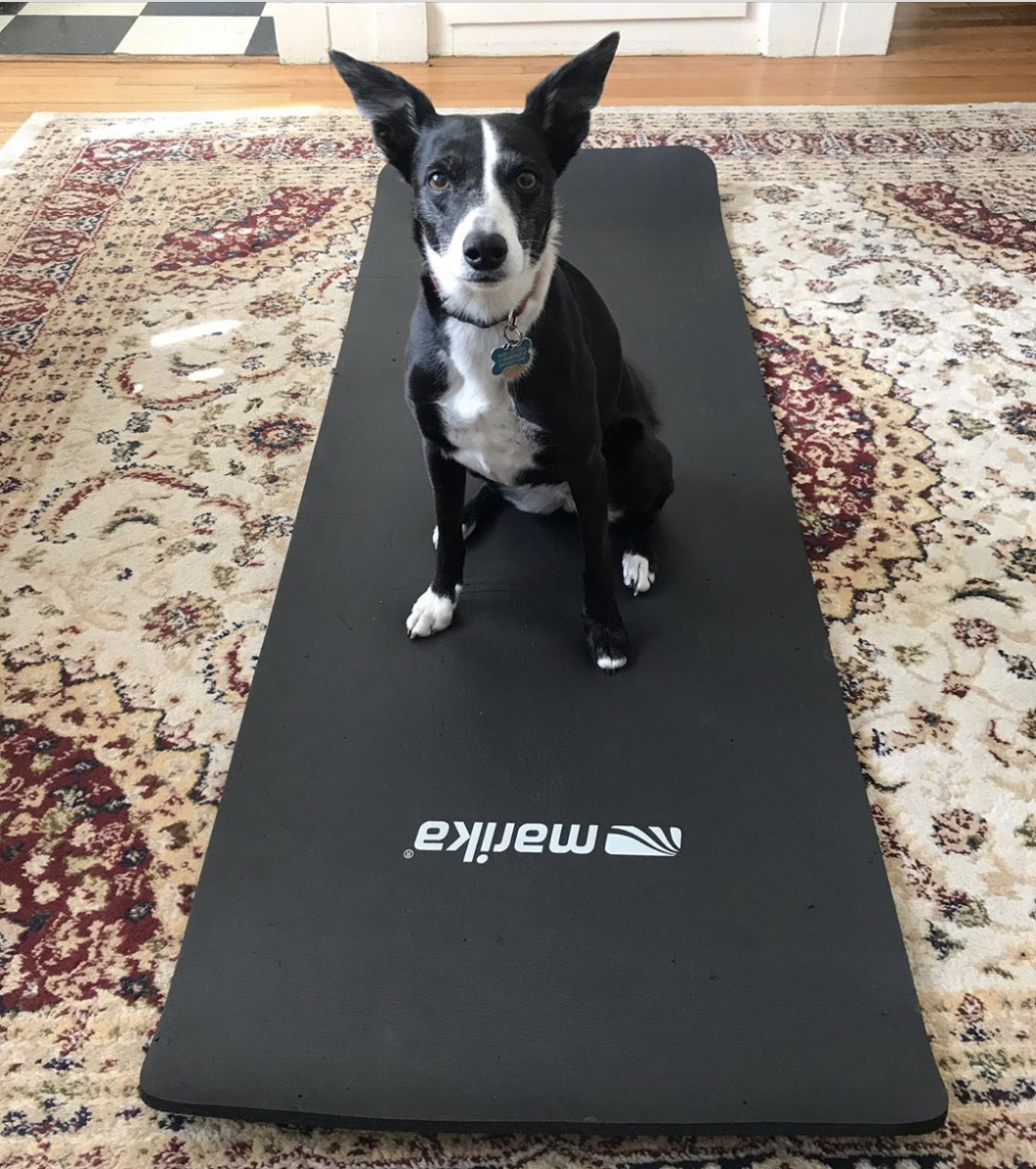 Screen Shot 2020-04-10 at 5.03.59 PM.png