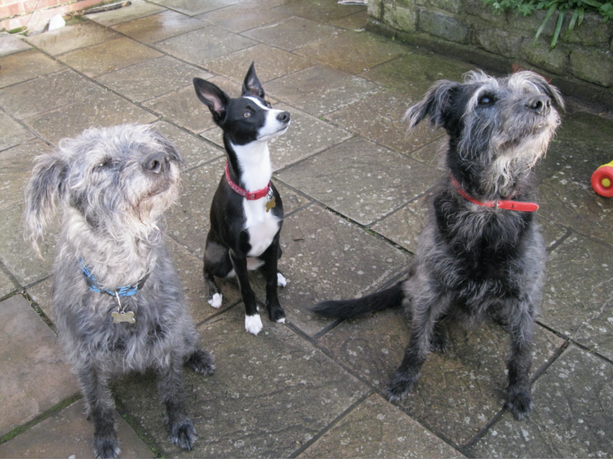 Screen Shot 2020-03-25 at 9.17.57 PM.png