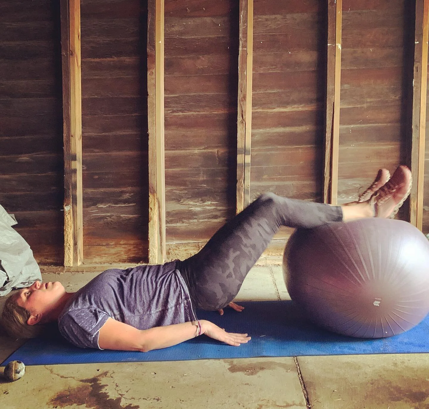 Stuck in your house or not, you&rsquo;ve still got to hit those hamstrings. Plus dog photobomb.
.
.
.
#pipstertime #fennellfitness #ballhamstrings #fitfam