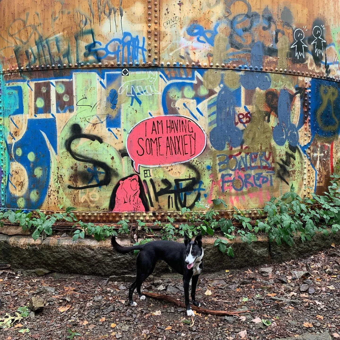 Walking in the rain with the lad, and some fitting graffiti for 2020. 
.
.
.
#2020graffiti #belmont #covidwalks #matthewfennellfitness #fennellfitness