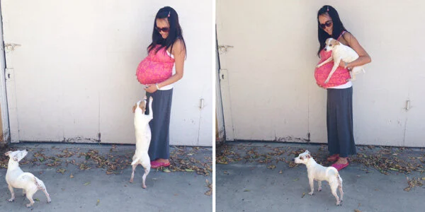 12a-36weeks.jpg