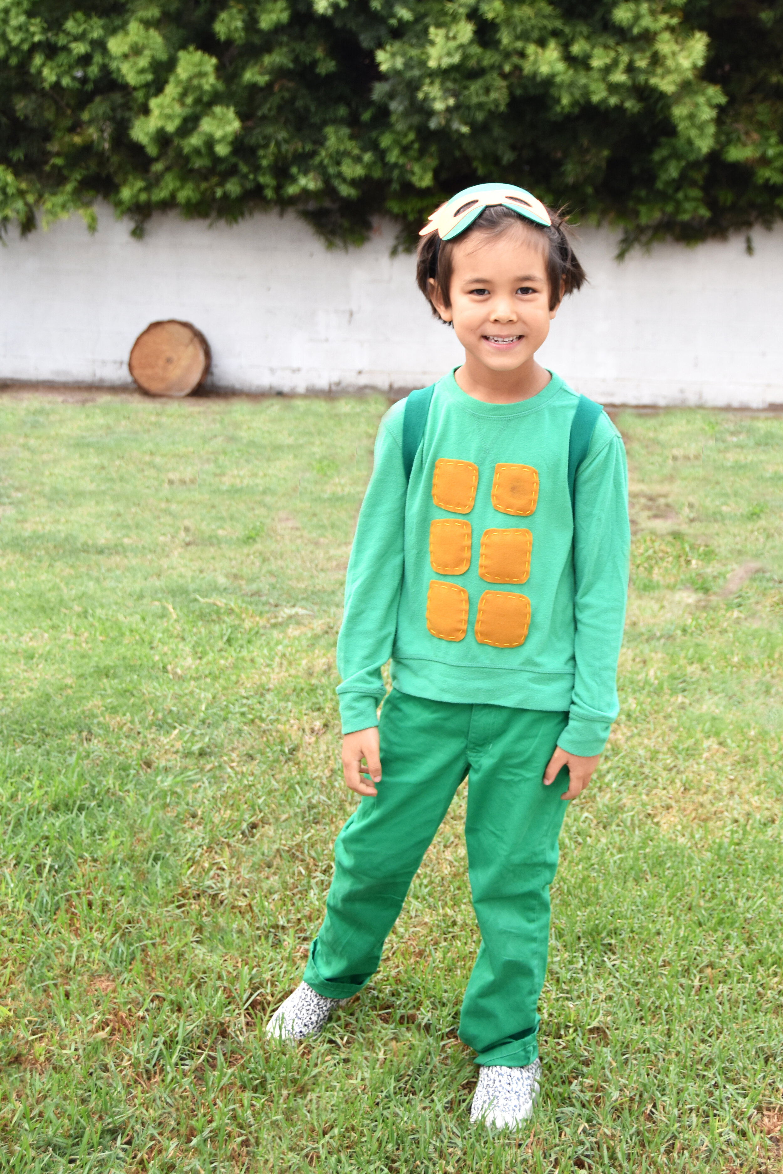 Easy DIY TMNT Family Costumes — Amy Tangerine