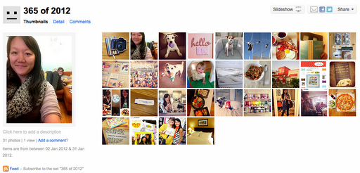 4b-flickr1.png