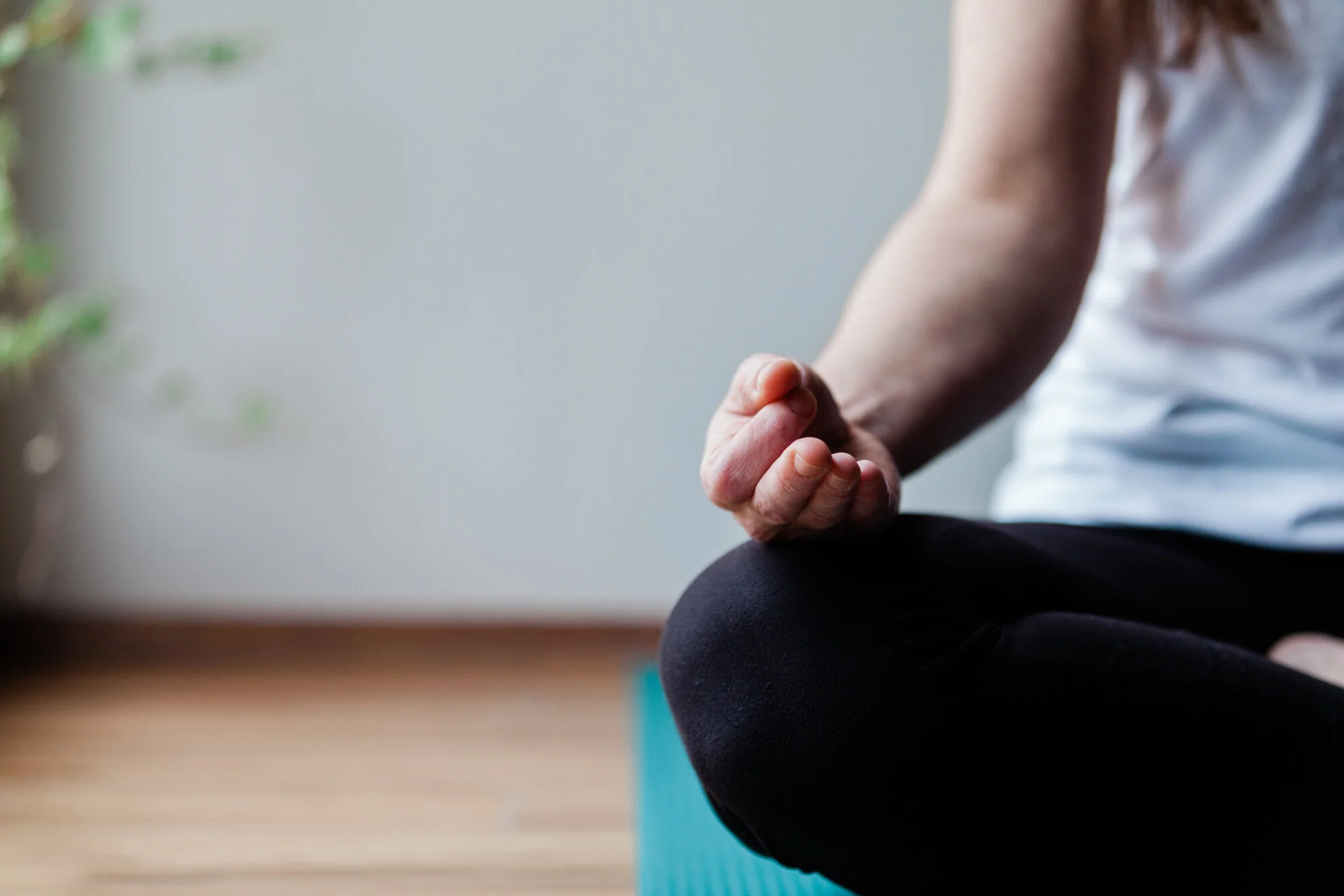 Heartfull-262 Smaller.jpeg