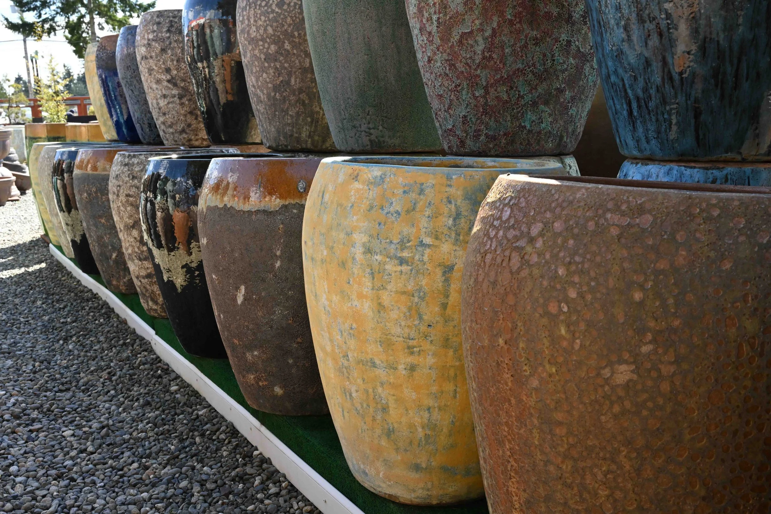 POT_2436.jpg
