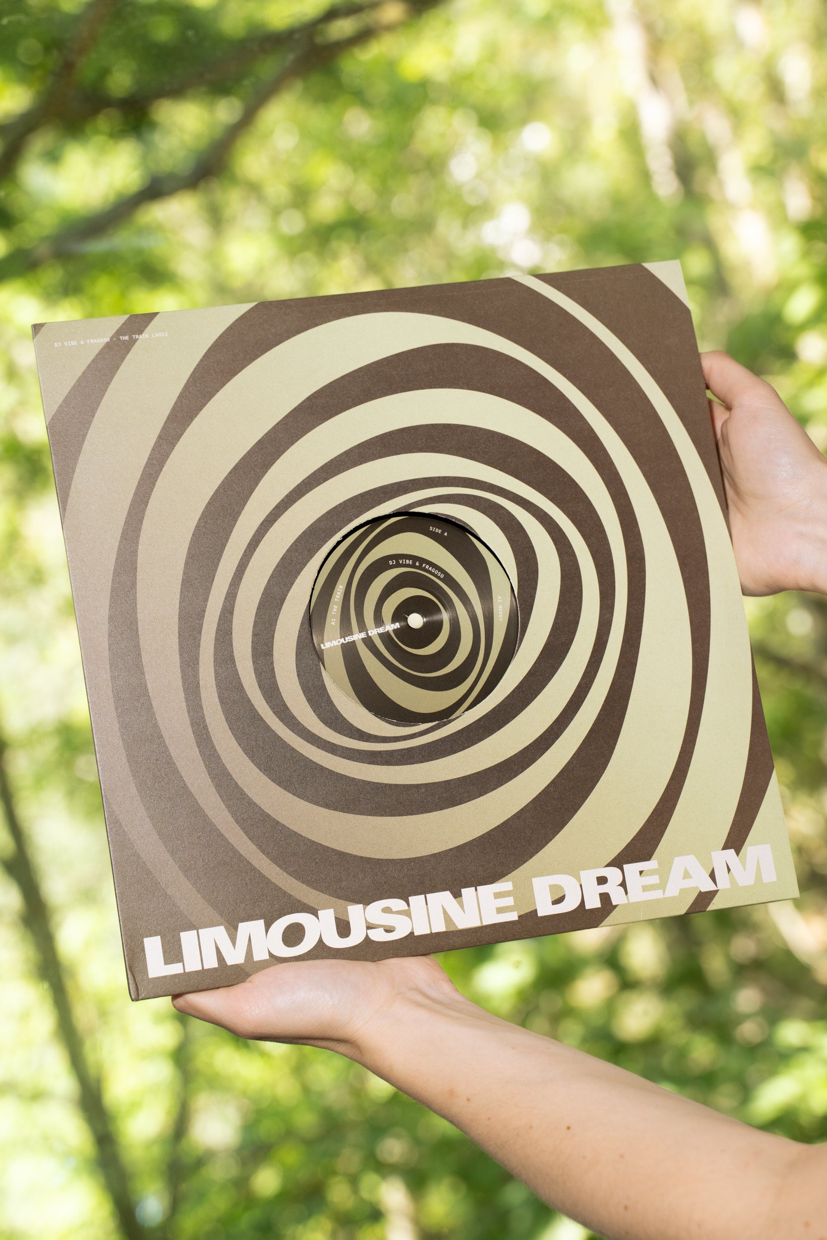 Limousine Dream Branding 