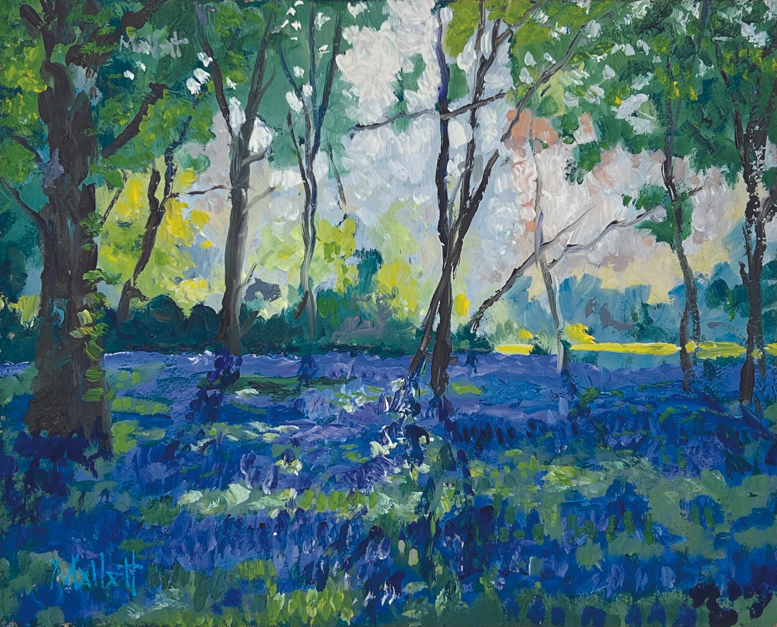 Bluebell Delight