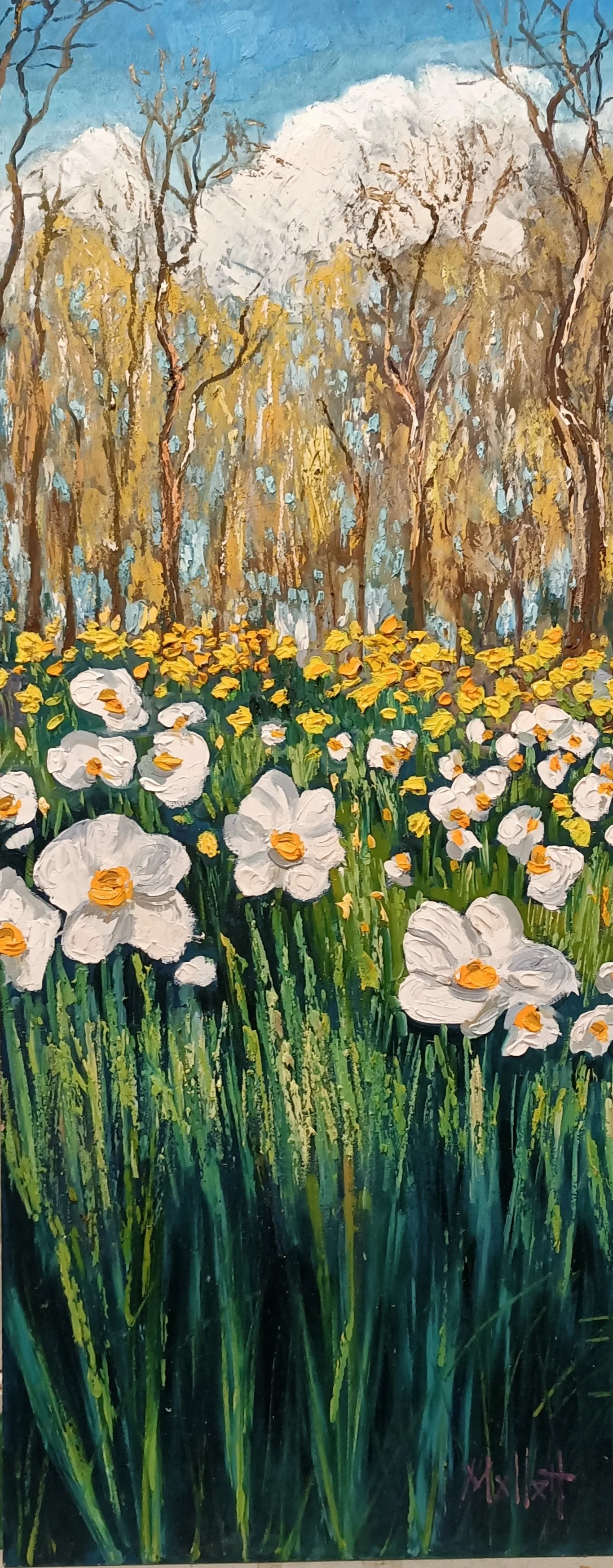 Daffodil wood in early spring