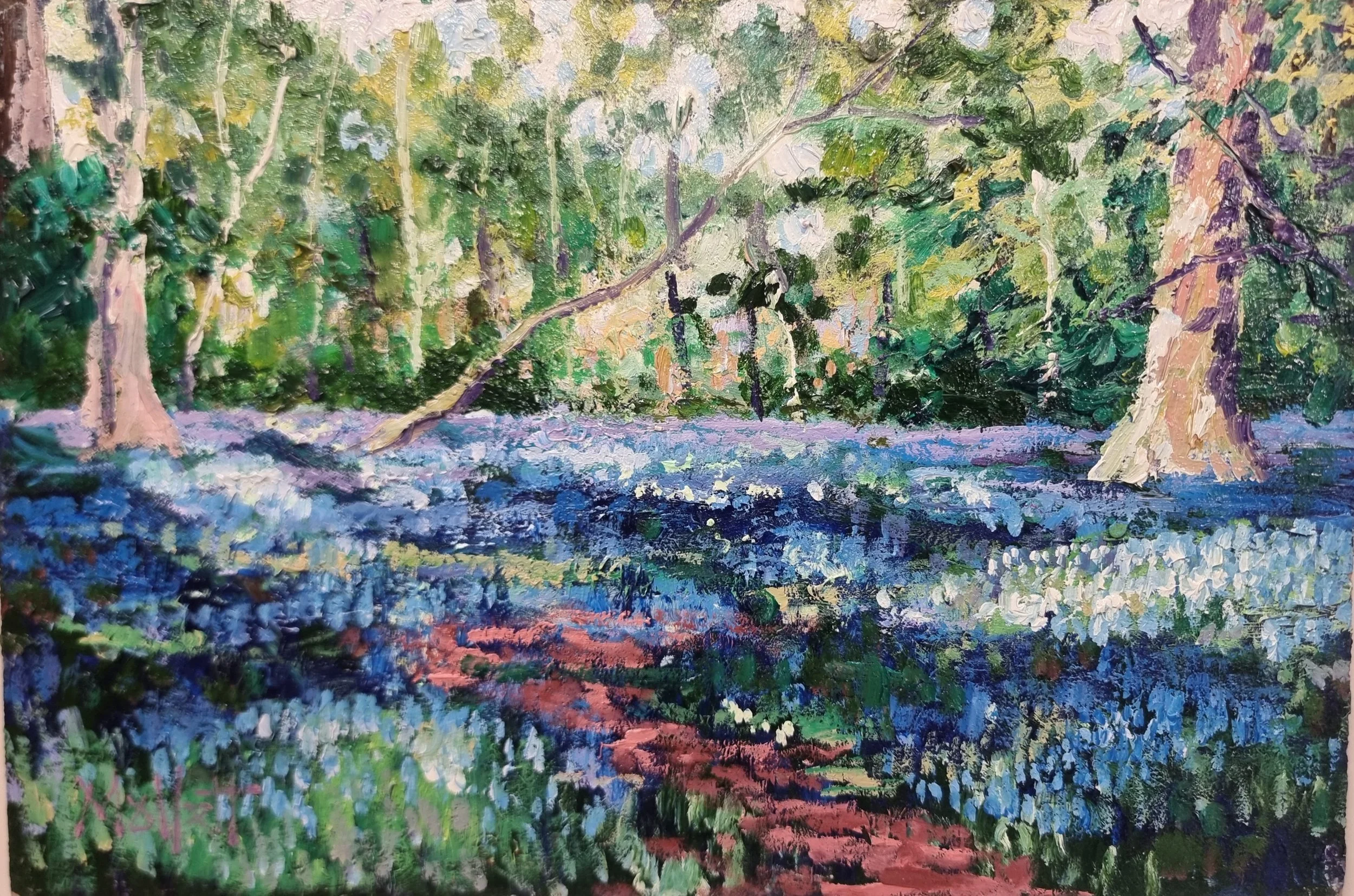 Bluebell glade