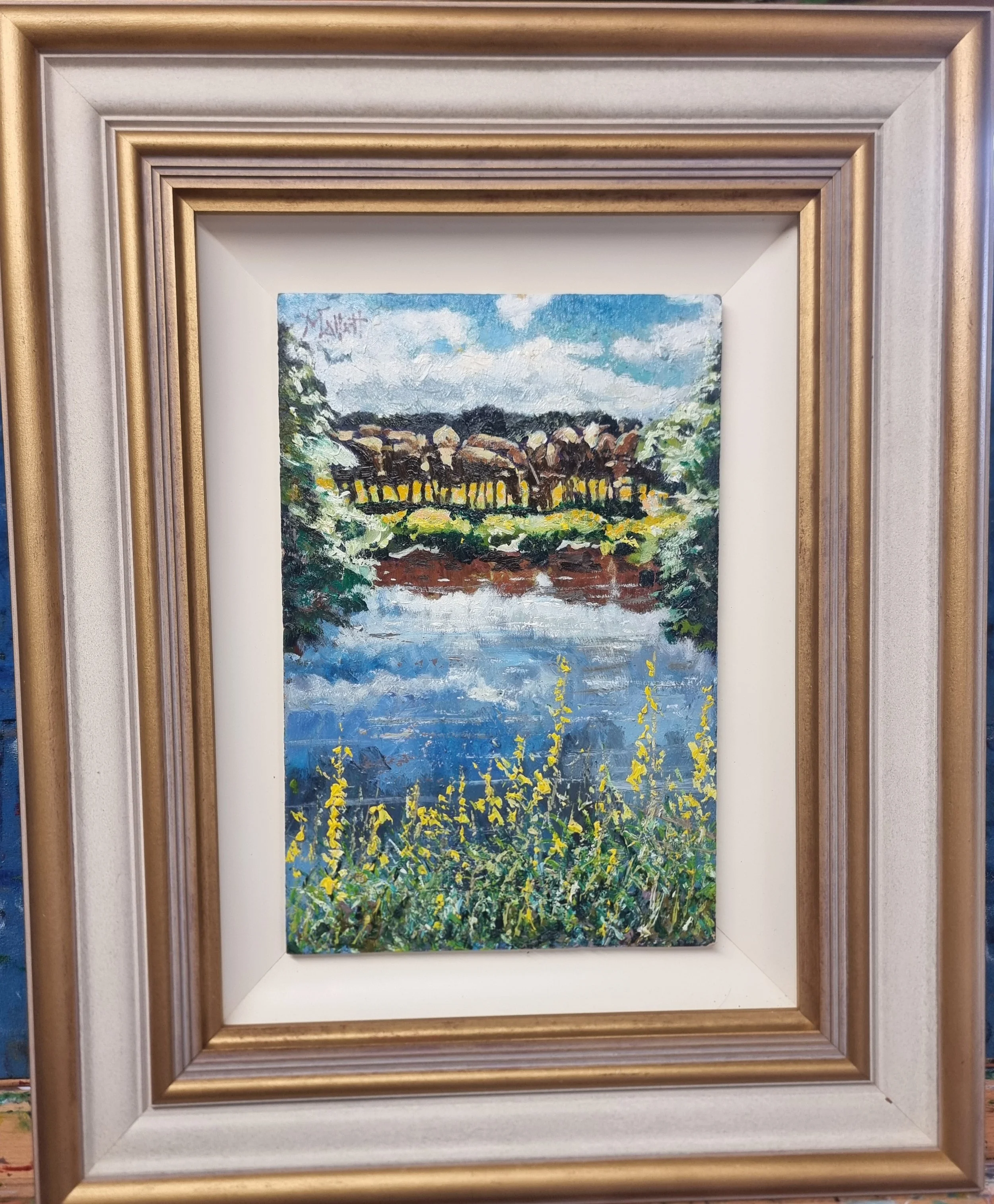 Down by the water meadow framed.jpg