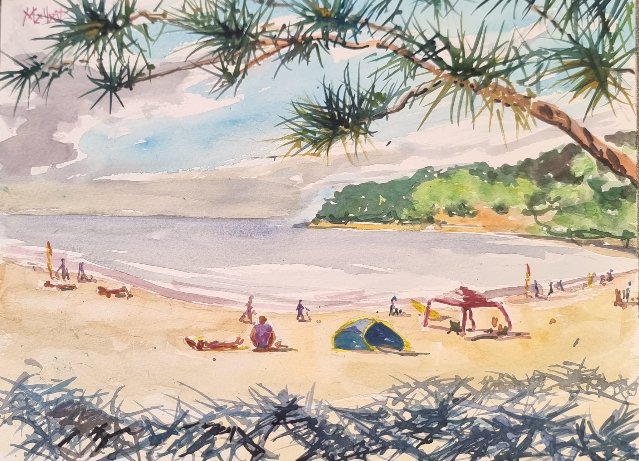 sunshine-coast.jpg