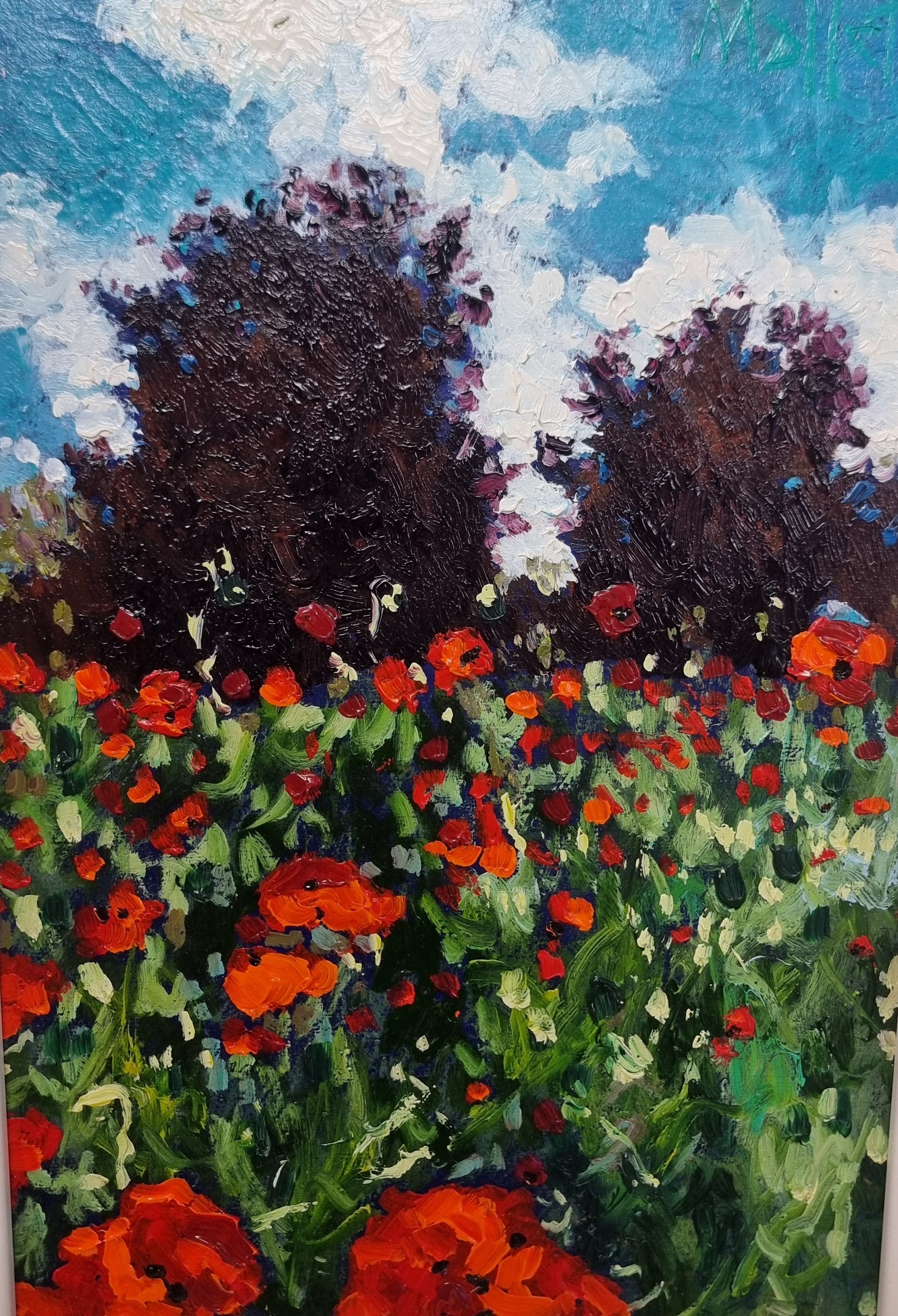 Edge of the poppyfield