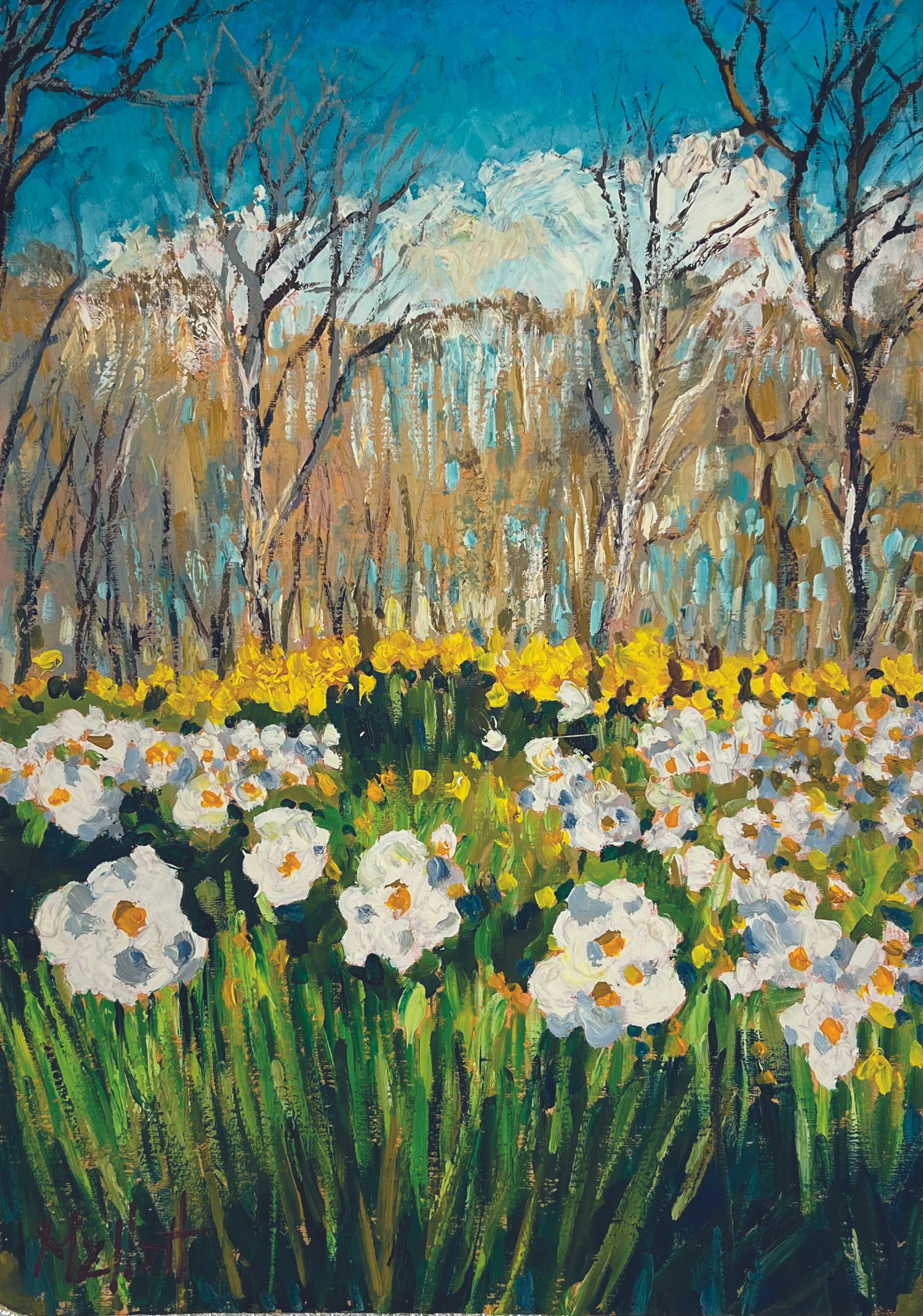 Daffodil Wood