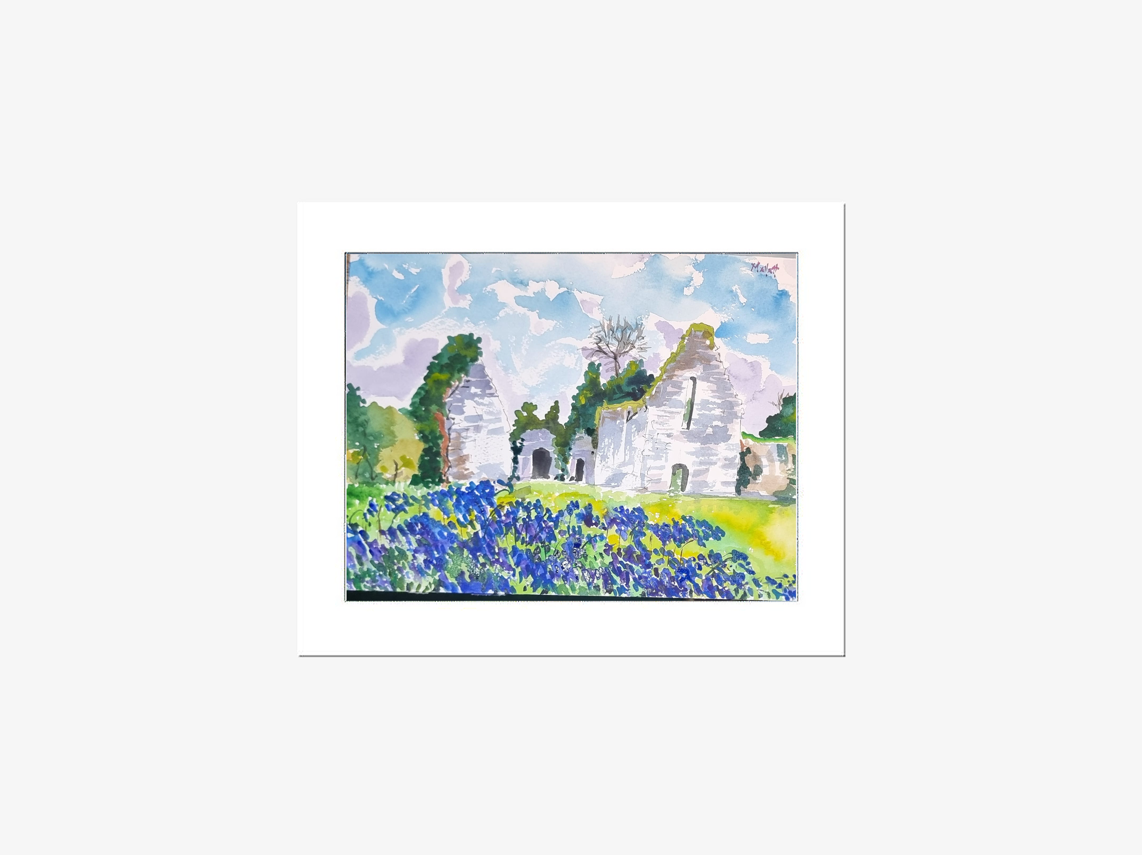 Killydonnell-Friarywide-landscape.fw.png